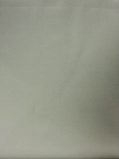 JS ZOYG 消光春亞紡 正面照